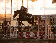 CAletto della Verdina TosTour2013- S5 3159 : Arezzo, Arezzo Equestrian Centre, Caletto della Verdina, Cavalli d'Italia, Toscana Tour 2013, foto di Stefano Secchi ©